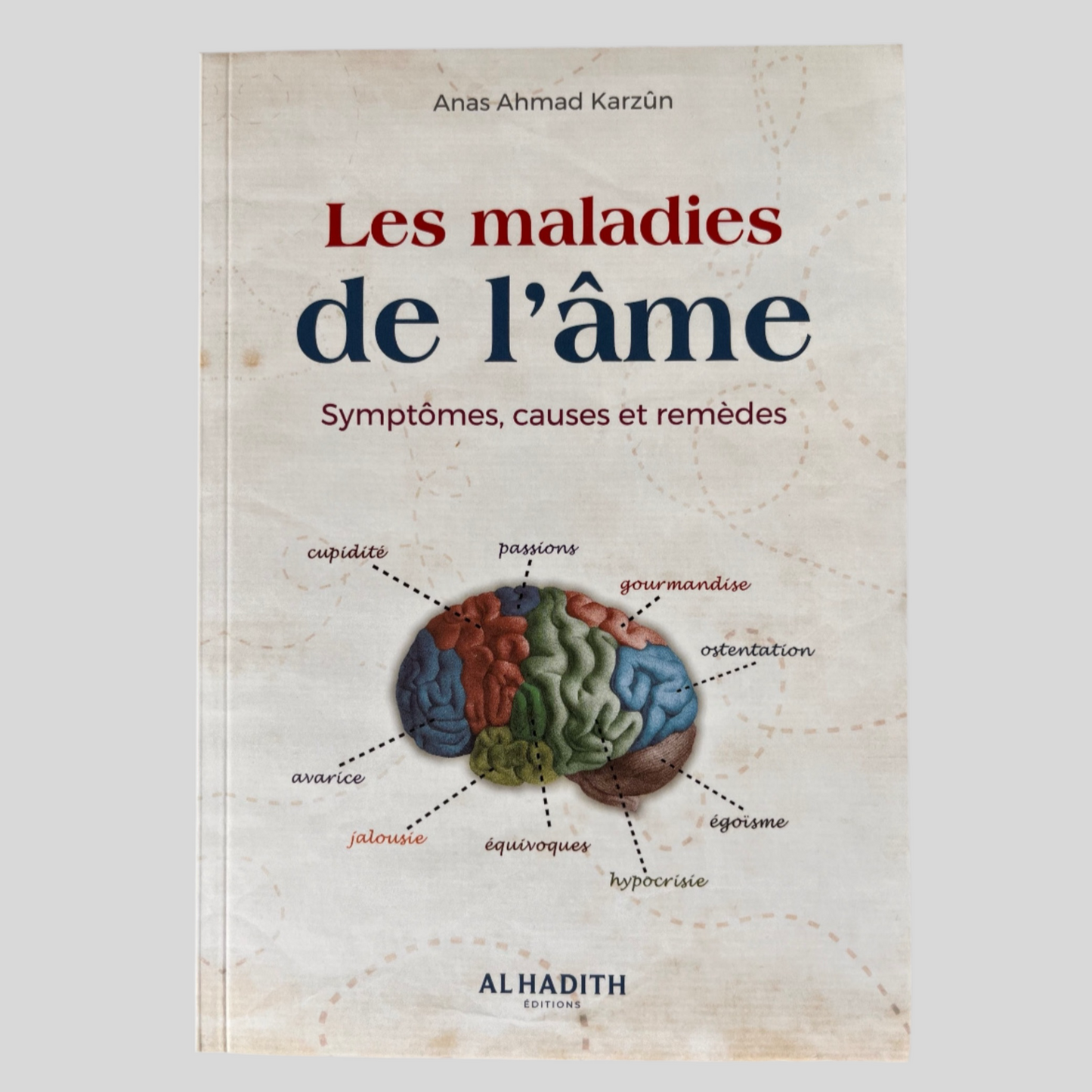 Les maladies de l’âme